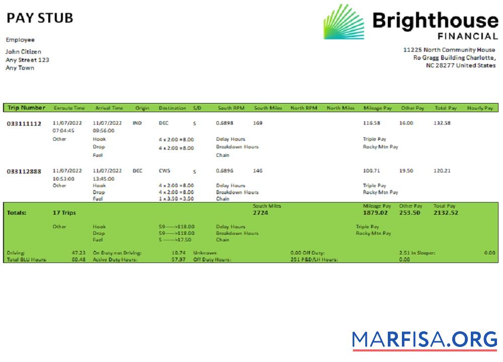 Downloadable USA Brighthouse Financial financial company sample
